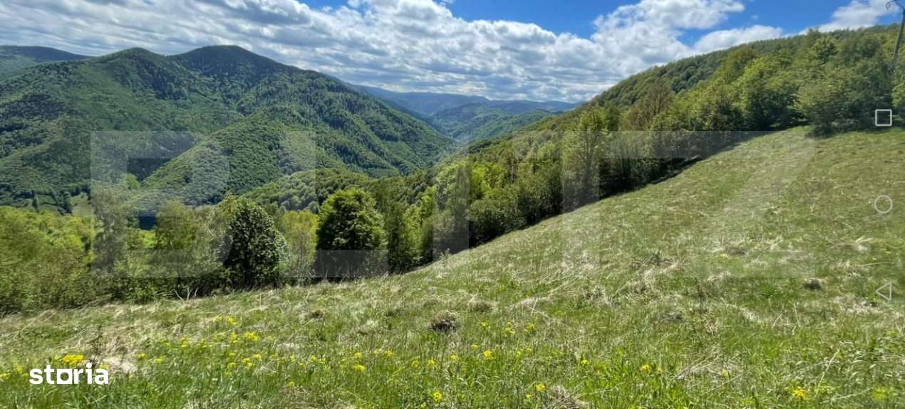 Intravilan de vanzare in Satul Plopi, se poate parcela Comuna Valea Ie - Imagine principală: 5/11