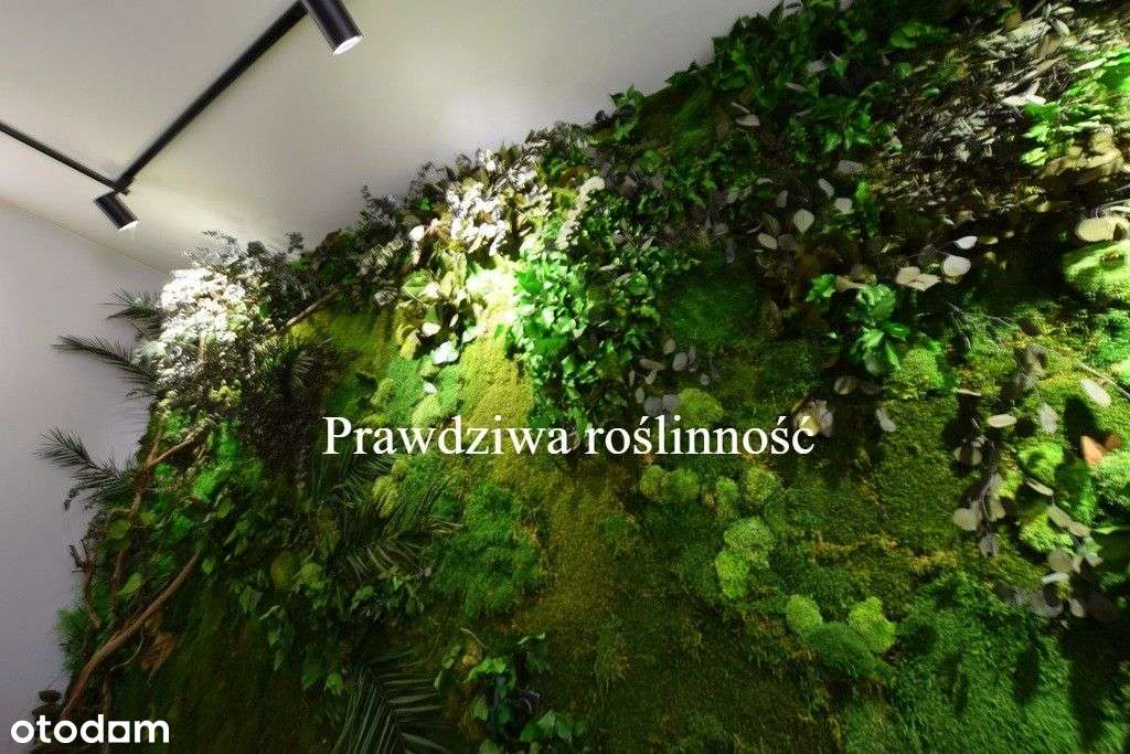 Klimatyczny dom z sauną pod Gorzowem - Pełny obrazek: 4/20