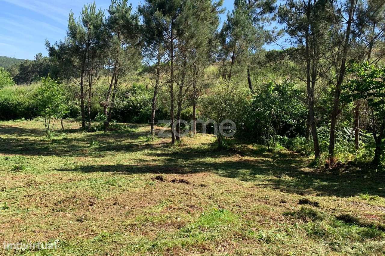 Terreno agricola e florestal.-27