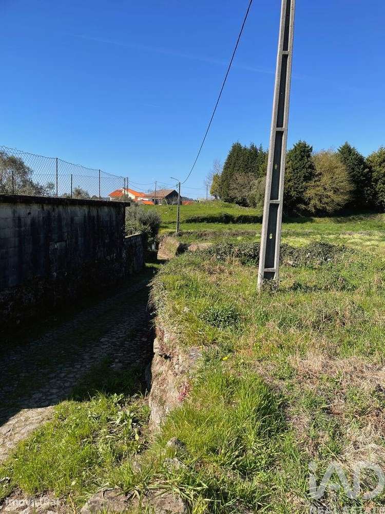 Terreno Agrícola em Montaria - Grande imagem: 4/11
