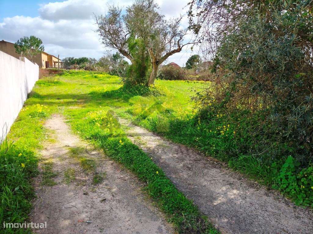Vendas Novas - Lote de terreno-6