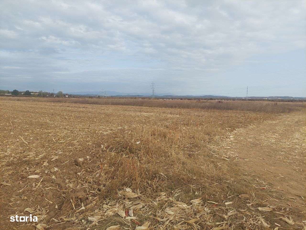 Teren dezvoltare rezidentiala / industriala - Dumbrava - comision 0%!-5