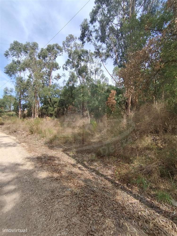 Terreno  Venda em Crespos e Pousada,Braga - Grande imagem: 5/7
