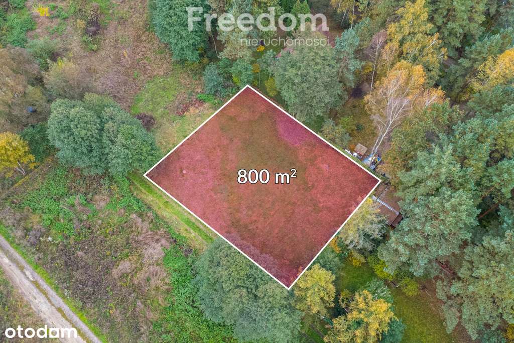 Strachów działka rekreacyjna 800 m² blisko Liwiec - Pełny obrazek: 4/9