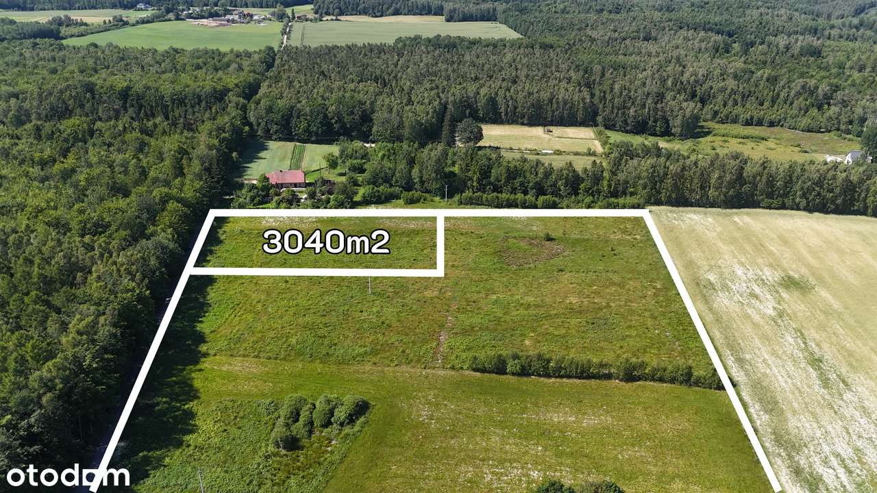 w otulinie lasu | warunki zabudowy | blisko trasy S6 - Pełny obrazek: 1/1