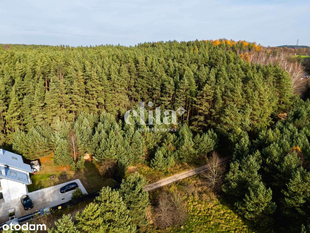 Urokliwa działka budowlana w Dobrzewinie - Pełny obrazek: 4/10