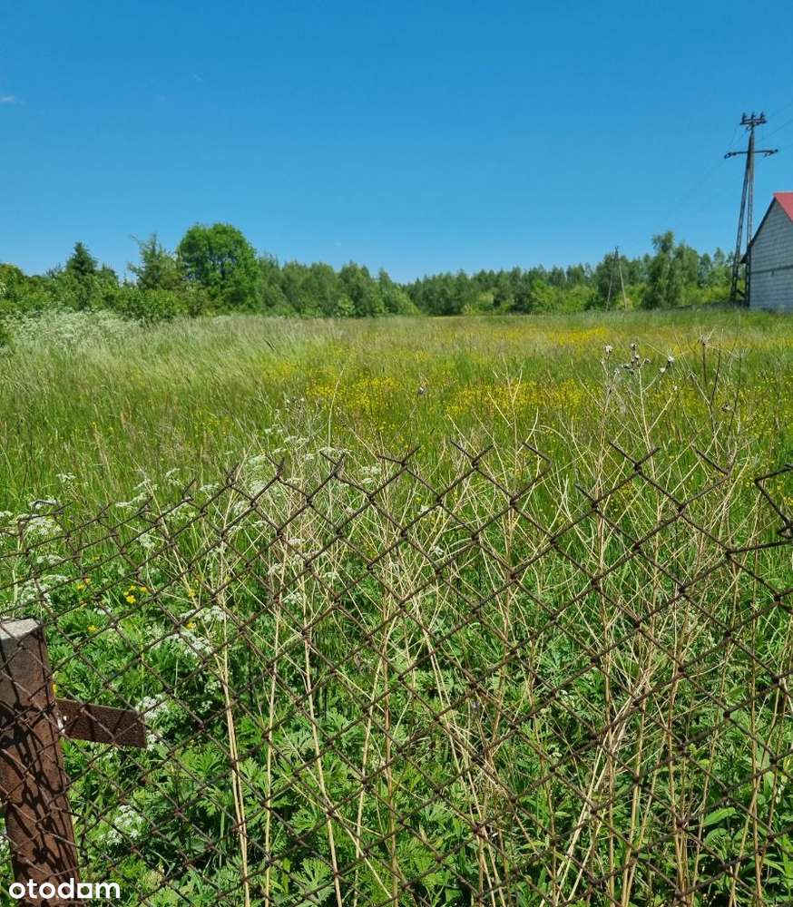 Do sprzedania działka uzbrojona 4600m2 w Bębnowie - Pełny obrazek: 4/4