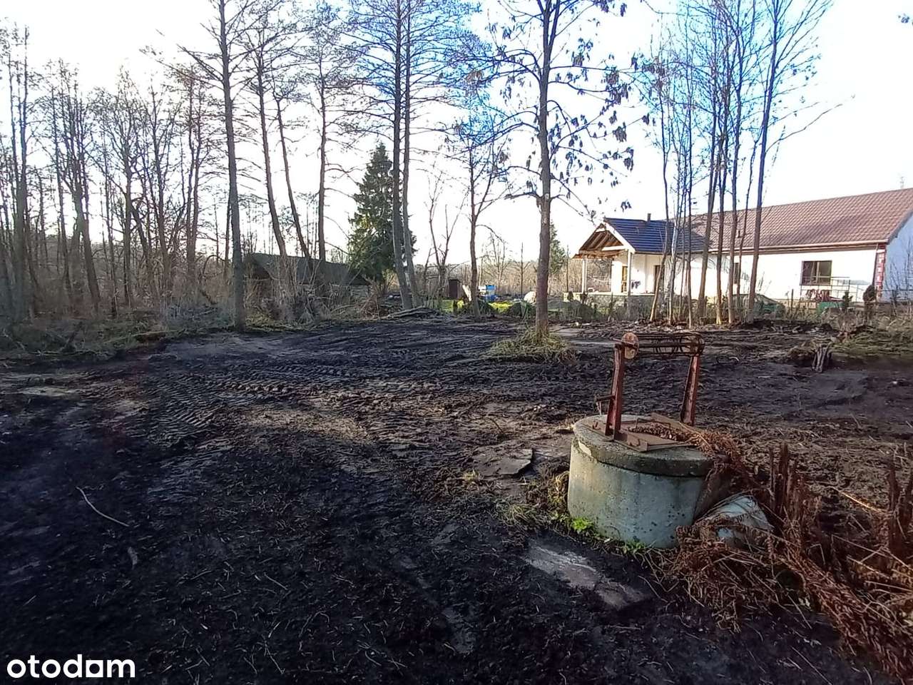 Działka zagrodowa_Wysoka Lelowska_Kępina_śląskie - Pełny obrazek: 4/5