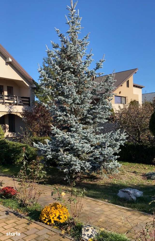 Casa noua de vanzare - Imagine principală: 1/15