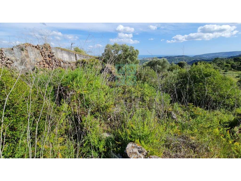 Quinta com 435.487 m2 na Serra da Arrábida, em Palmela, Setúbal-23