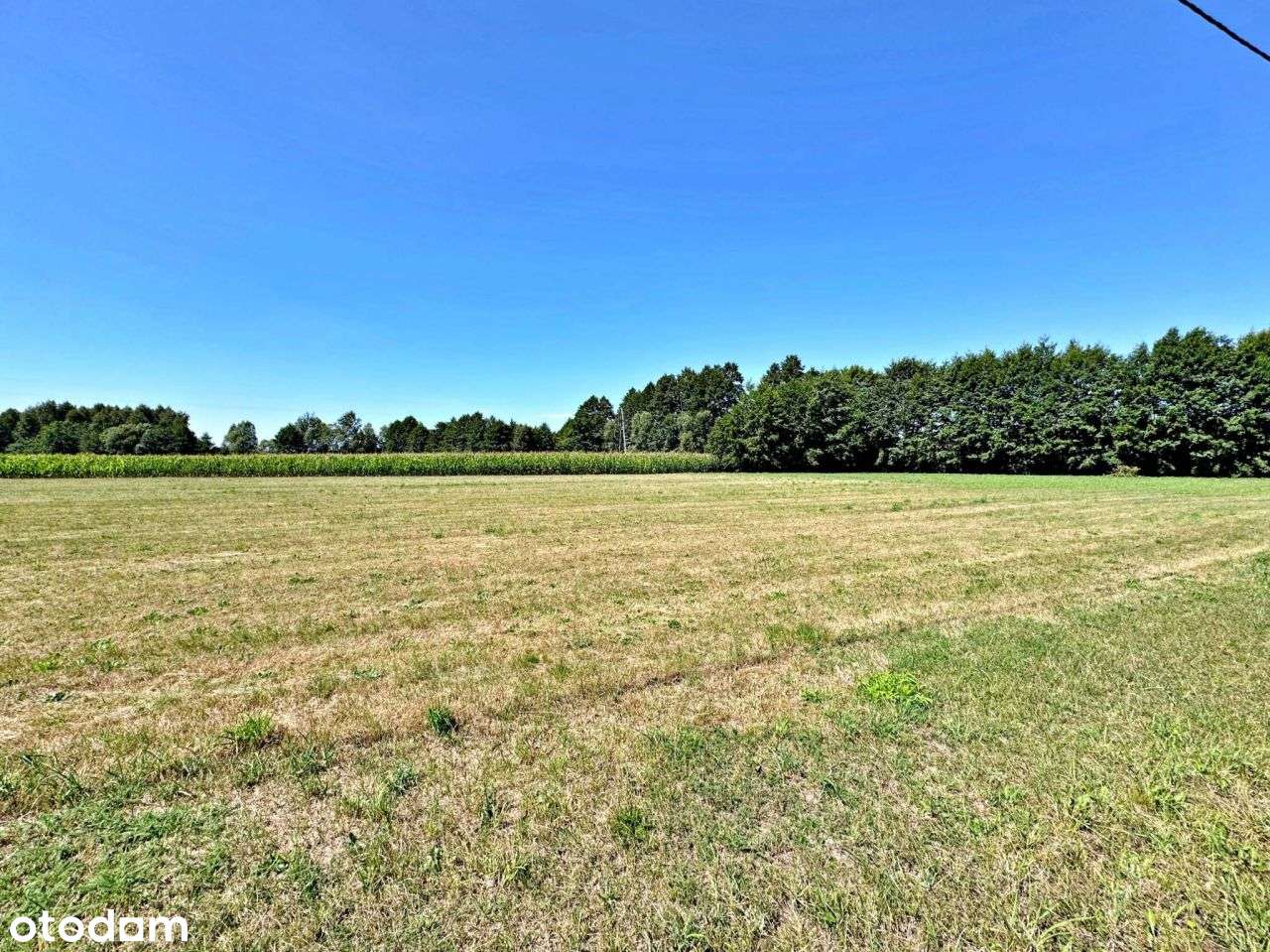 Duża Działka Budowlana Barczyzna | Cicha Enklawa | - Pełny obrazek: 4/10