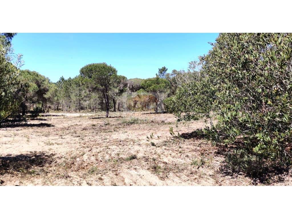 Casa de campo a 5 minutos da praia - Melides-9