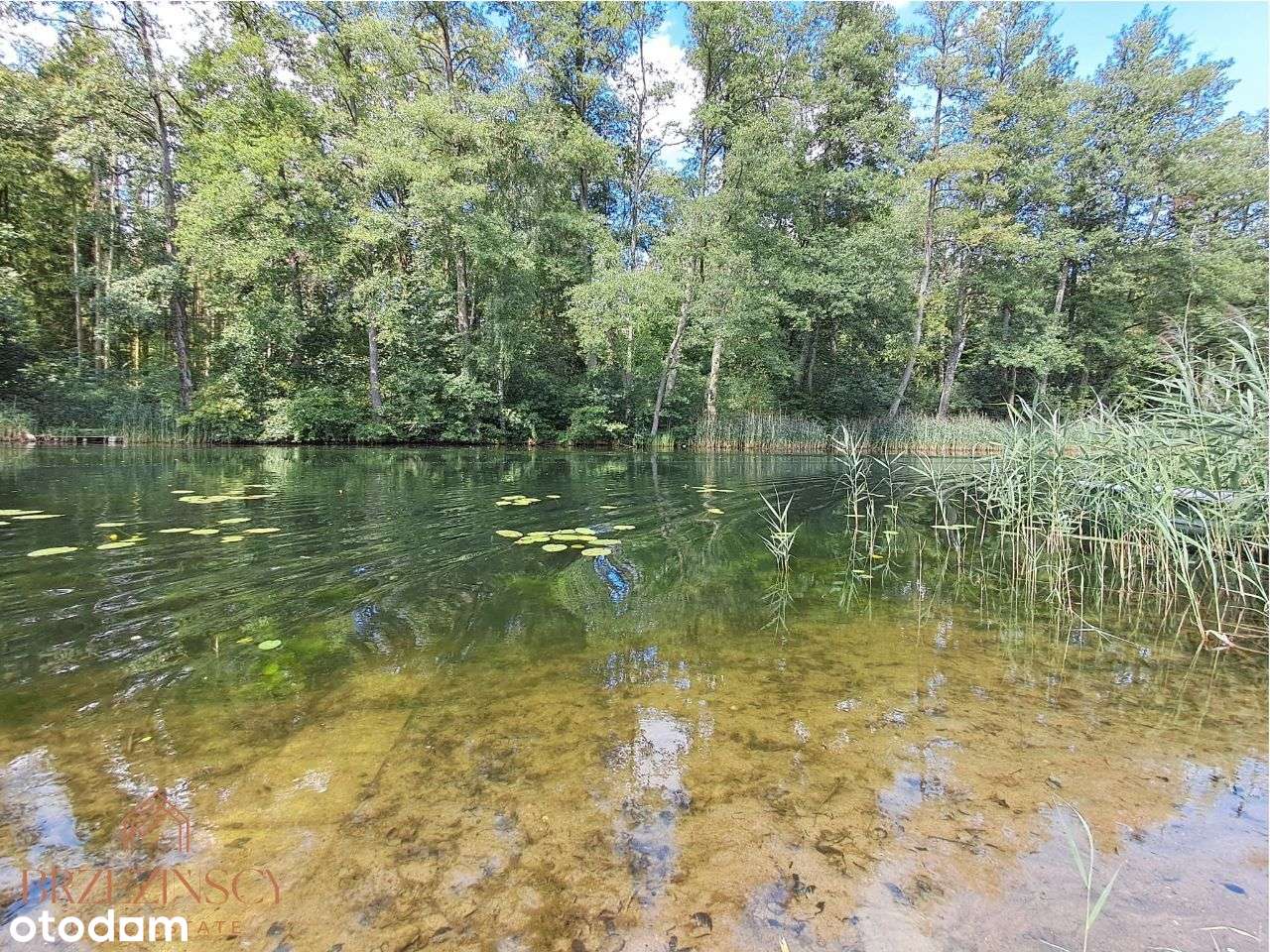 NOWA CENA! OKAZJA! Działka z dostępem do wody! Mostki -Niesulice-4