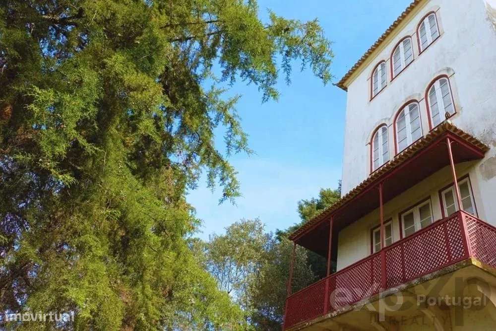 Quinta com Palacete Séc. XX - Grande imagem: 4/60