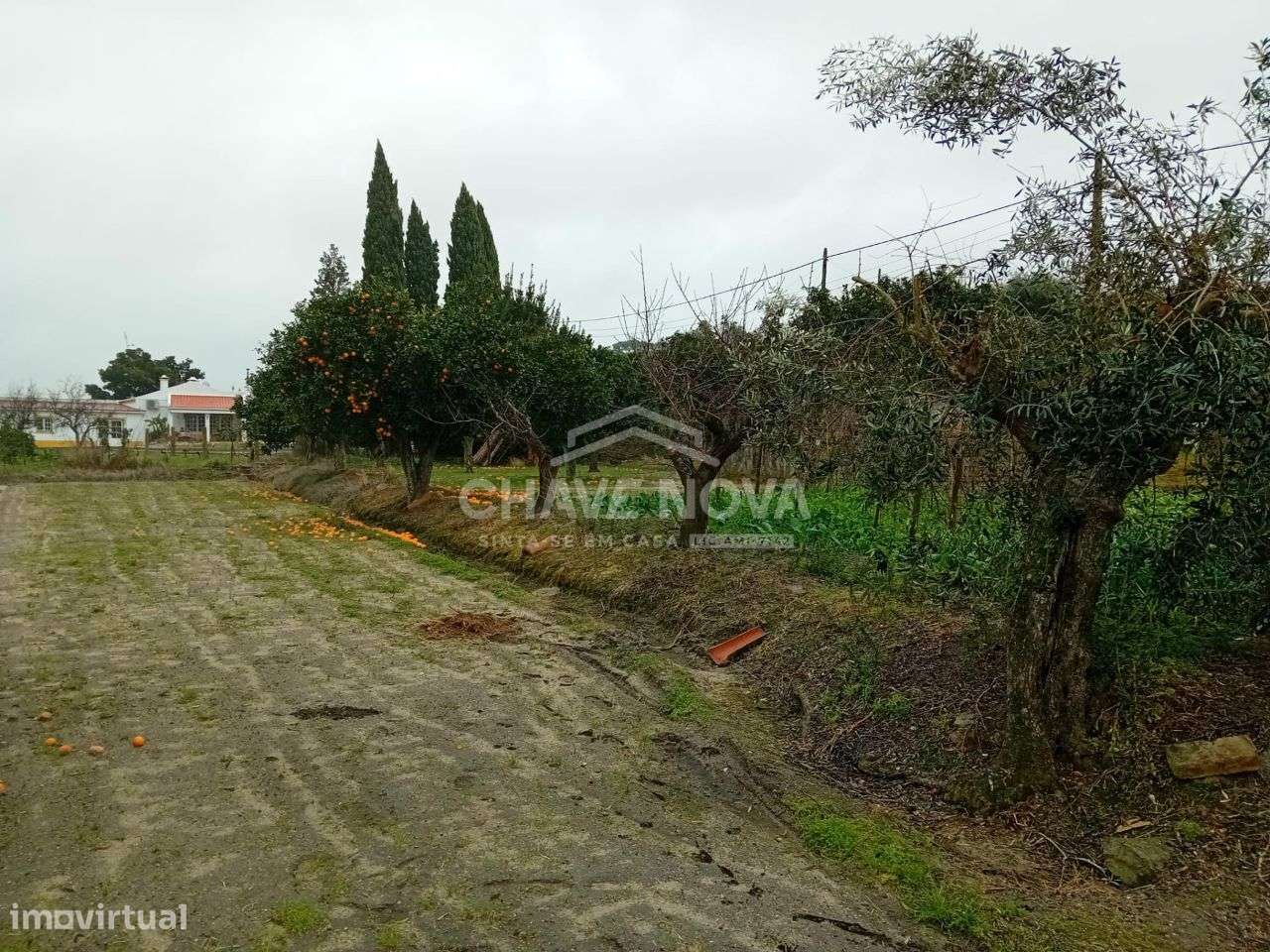Uma verdadeira oportunidade, uma casa com 1,5 hectares de terreno.-17