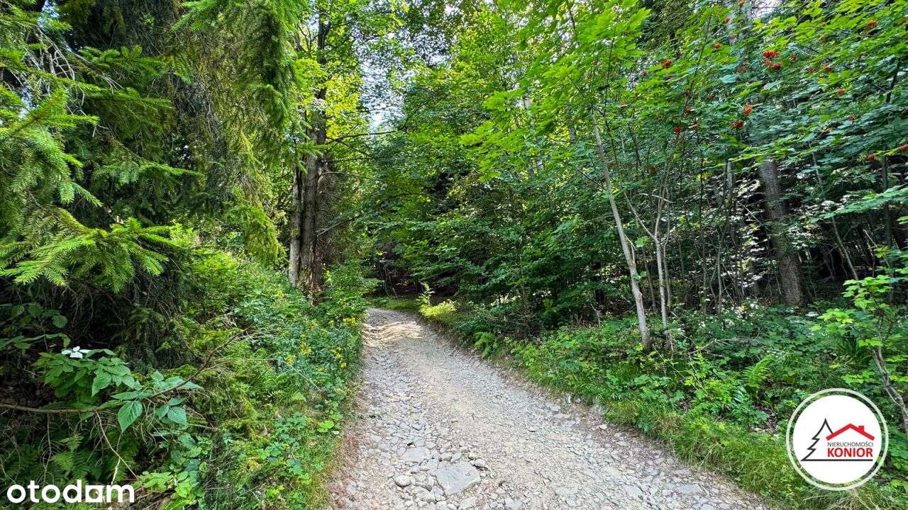 Dom z dala od miasta, w cichej okolicy otoczony lasem - Szczyrk-14