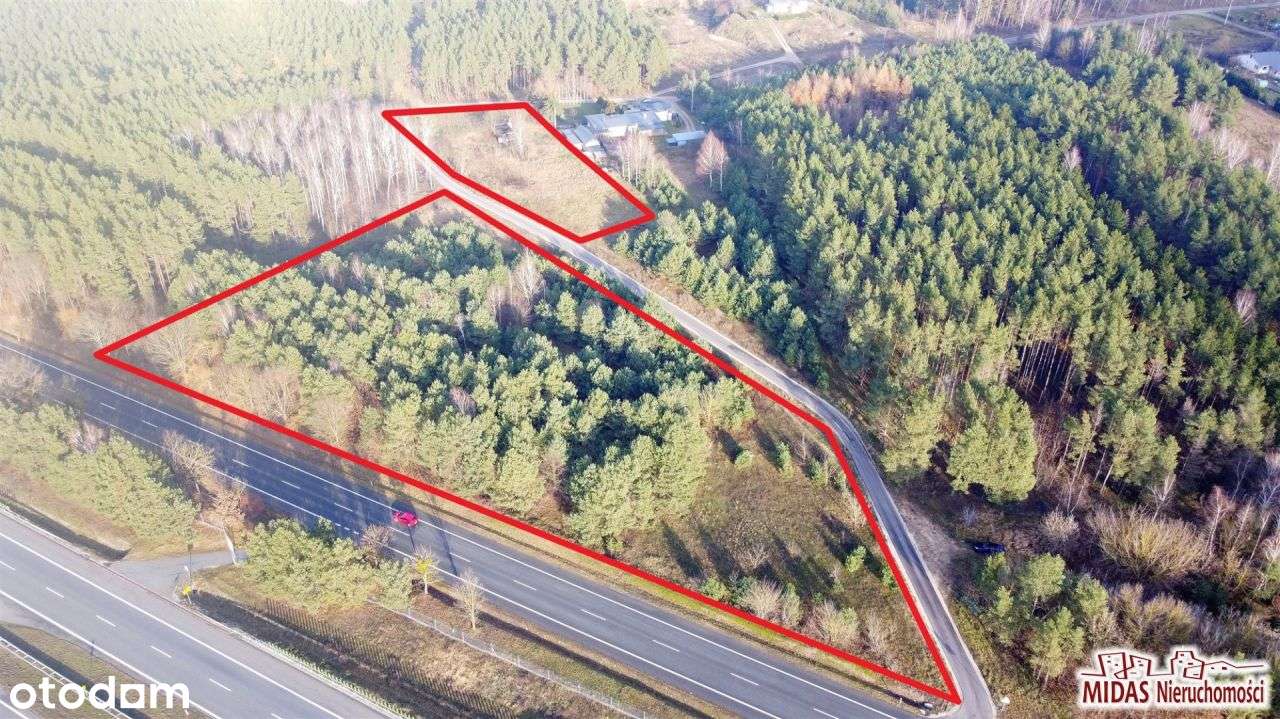 Działka w otoczeniu lasu - Pełny obrazek: 4/4