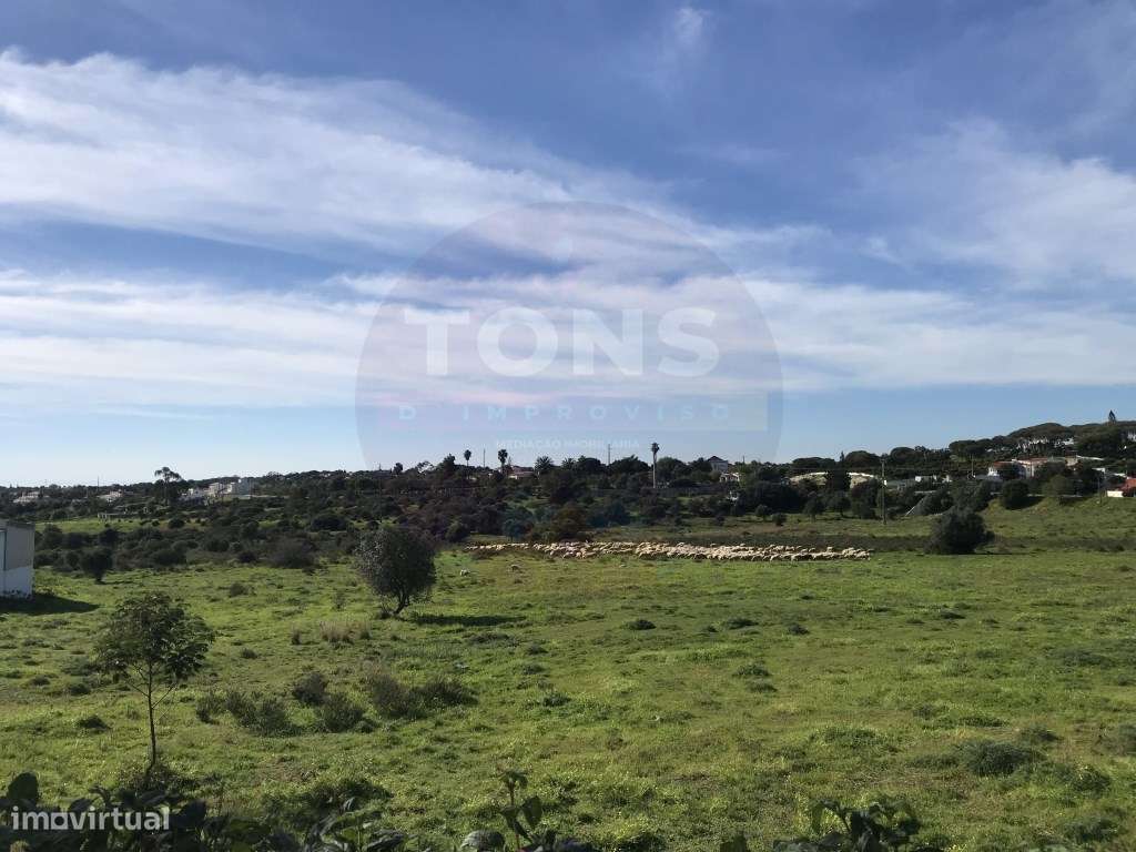 Terreno Rústico com Projeto Aprovado para Moradia Unifamiliar - Por... - Grande imagem: 5/14