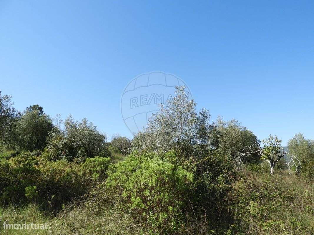 Terreno  para venda - Grande imagem: 2/10