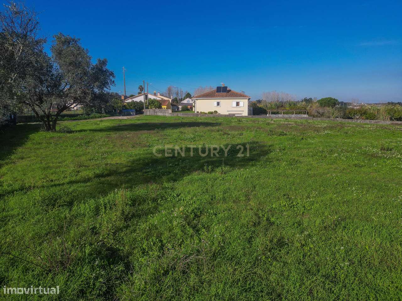Terreno Agrícola em Montemor o Velho - Oportunidade Única-15