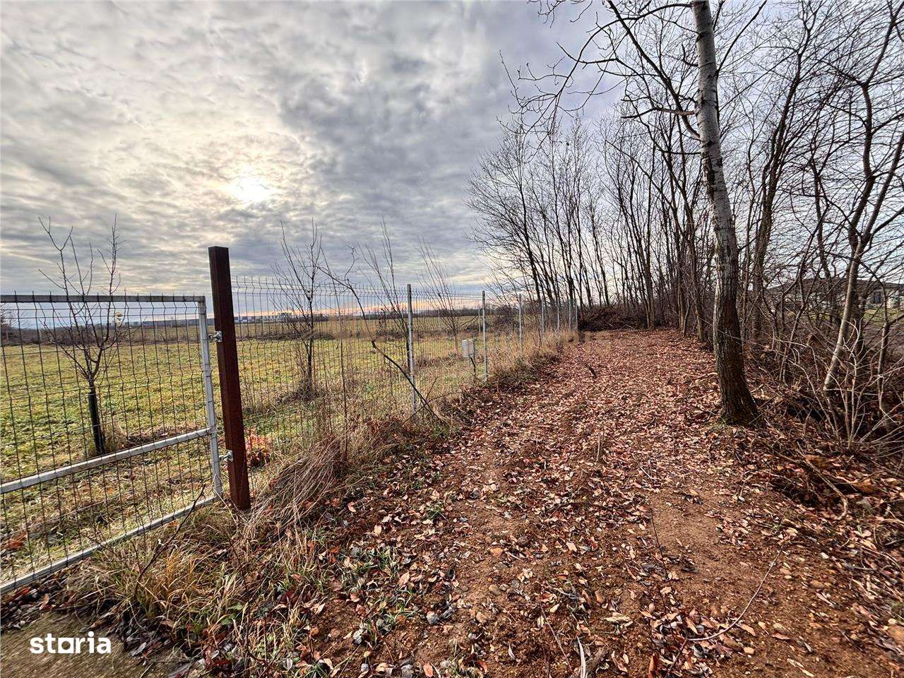 Teren intravilan Tautii Magheraus-2