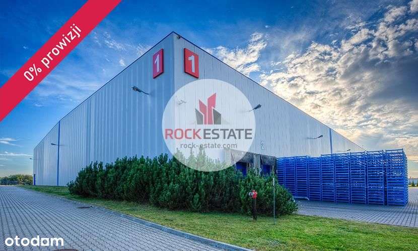 Magazyn 2400m2 do wynajęcia od zaraz - 0% prowizji - Pełny obrazek: 5/8