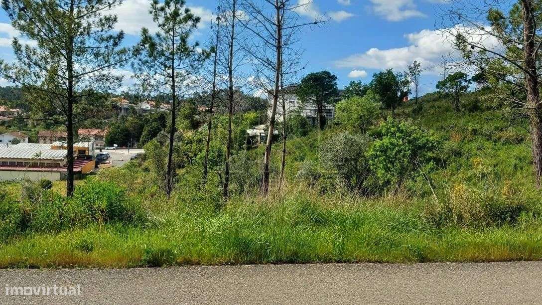 Terreno para construção Habitacional - Grande imagem: 5/12