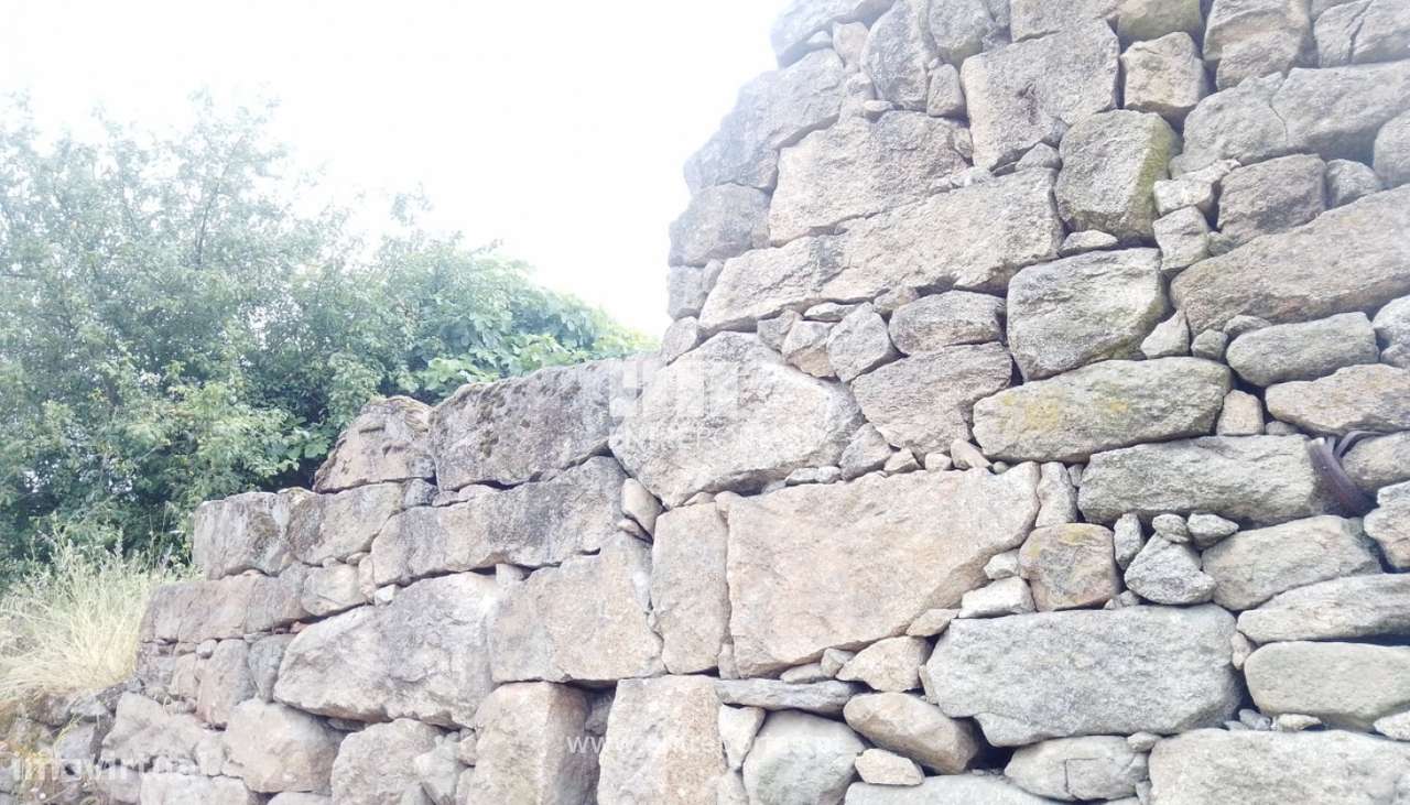 Venda Terreno Tarouquela, Cinfães - Grande imagem: 5/30