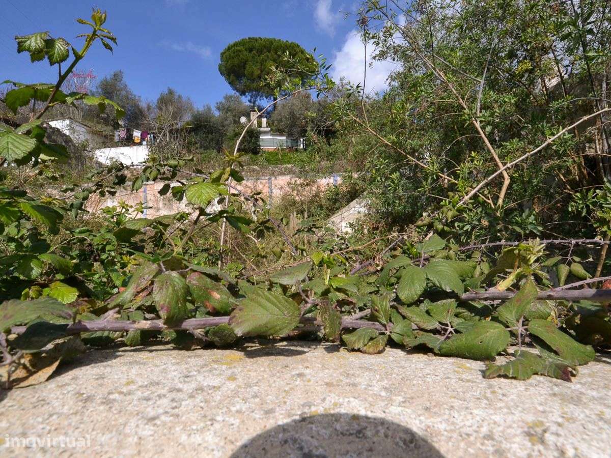 Armazém com Possibilidade de Construir Moradia - Grande imagem: 3/4