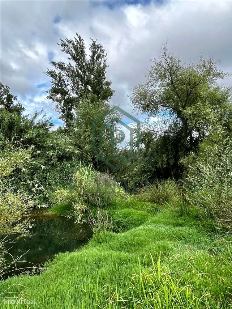 Quinta >=T10 Venda em Cortiçadas de Lavre e Lavre,Montemor-o-Novo-27