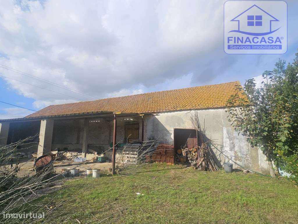EXCLUSIVO - Quinta com 2069 m2, T1 e um armazém - Asseiceira(Palmela)-37