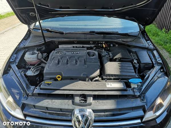 Volkswagen Golf 1.6 TDI 4Motion BlueMotion Technology Cup - 21
