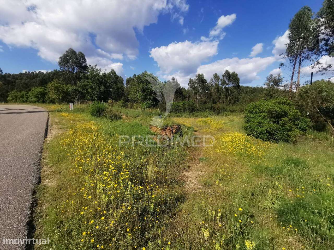 Terreno Rustico - Grande imagem: 5/38