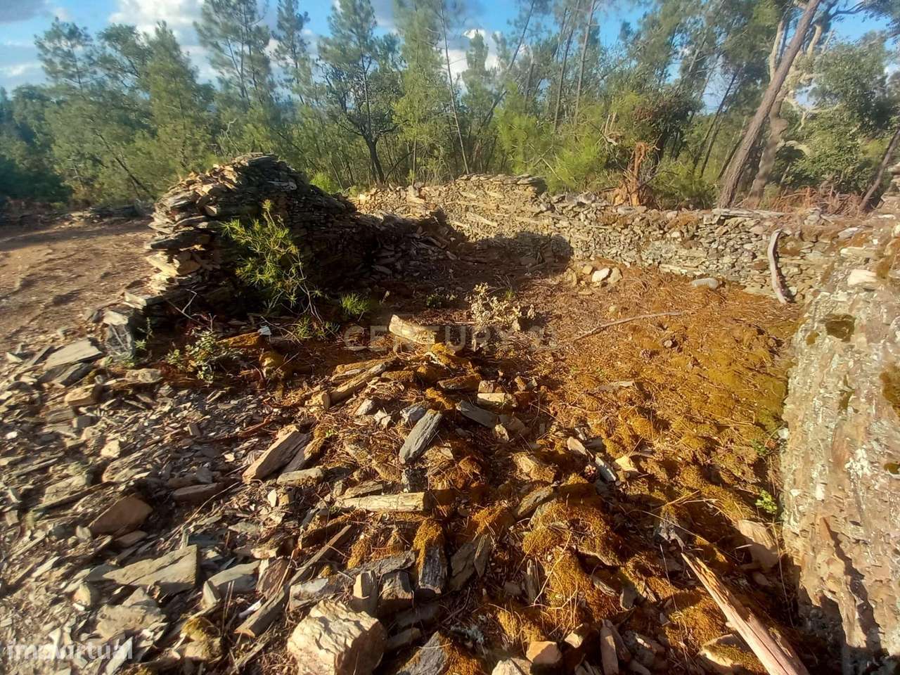 Terreno em Benquerenças, Castelo Branco - 2800m²-4