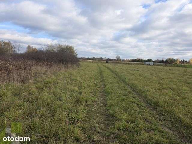 To świetna oferta dla poszukujących ciszy i lasu - Pełny obrazek: 4/9