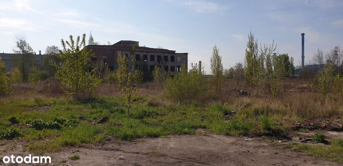 Działka inwestycyjna w strefie ekonomicznej - Pełny obrazek: 3/9