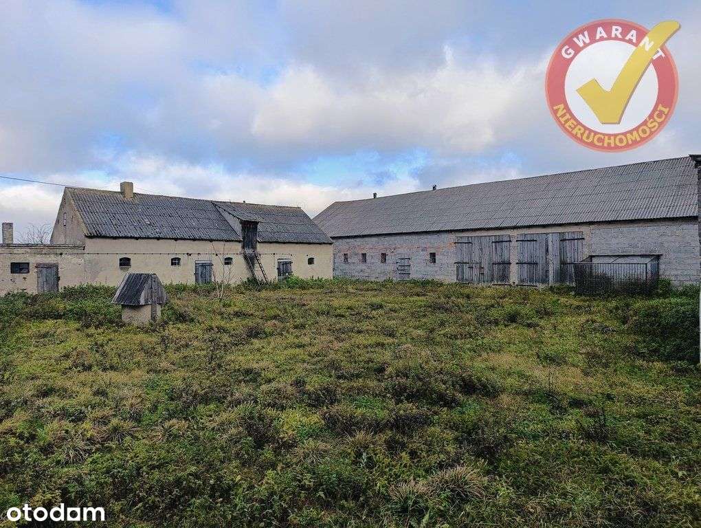 Dom Z Budynkami I Działką 4828 m2 W Świętosławiu ! - Pełny obrazek: 4/20