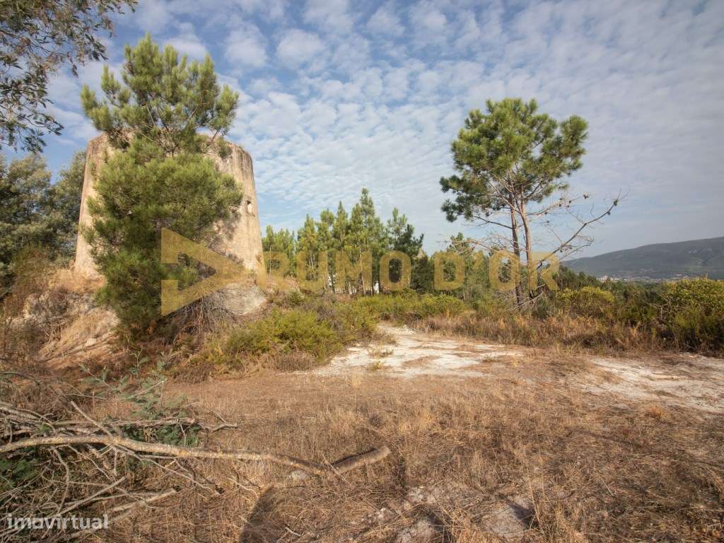 Moinho em Surraipas, Pocariça-8