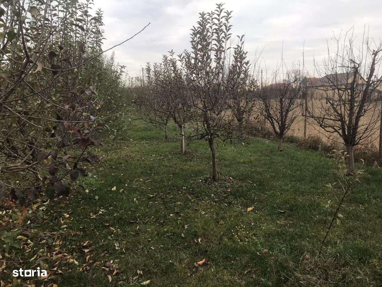 Alios - Teren Intravilan - 1470Mp - Imagine principală: 5/6