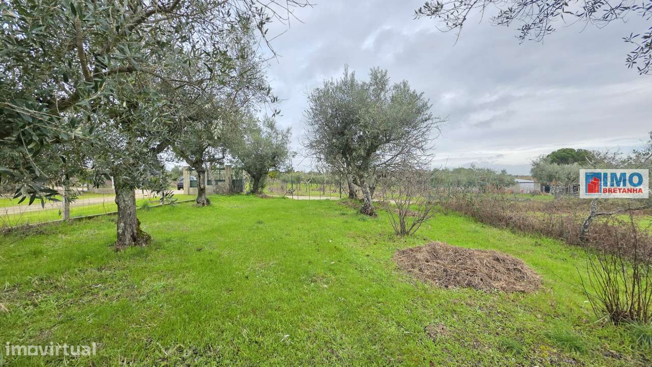 Quintinha em Póvoa de rio de Moinhos- Castelo Branco - Grande imagem: 5/12