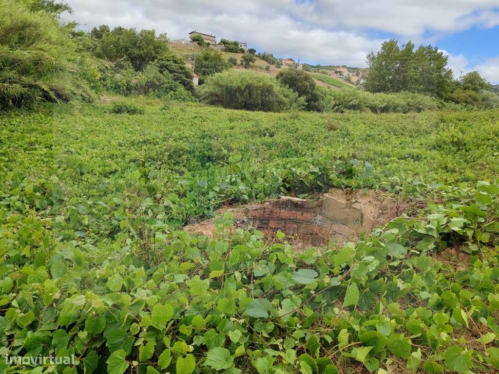 TERRENO PLANO A 40 MINUTOS DE LISBOA-8