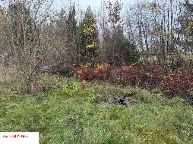 Boża Wola, dom drew.165m , działka 2050m, do zamie-16