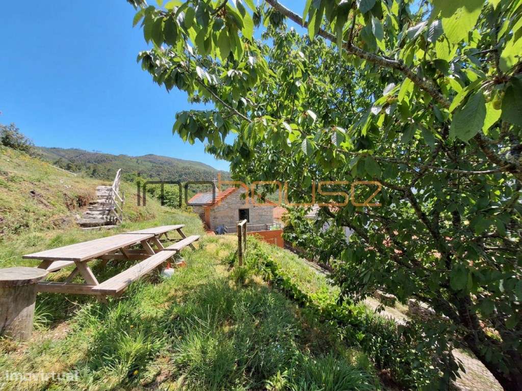 Casa T2 Restaurada na Serra da Freita-36
