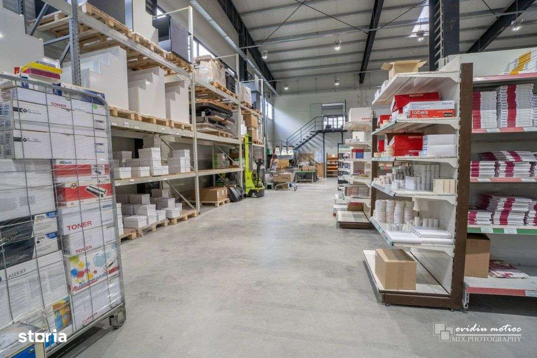 Hale in parcul Tetarom I - Imagine principală: 4/13