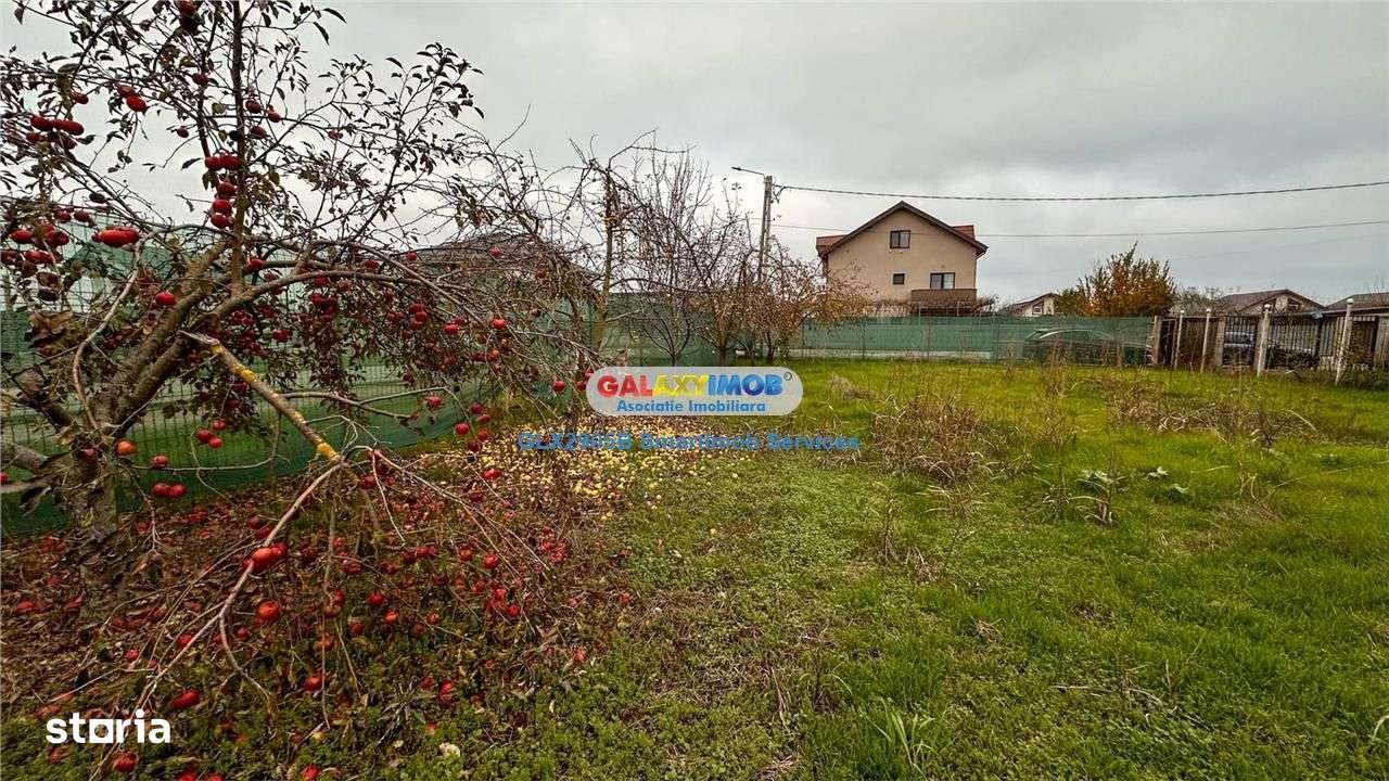 Teren de vanzare | Intravilan | Autorizatie P+1 in curs de obtinere - Imagine principală: 3/8