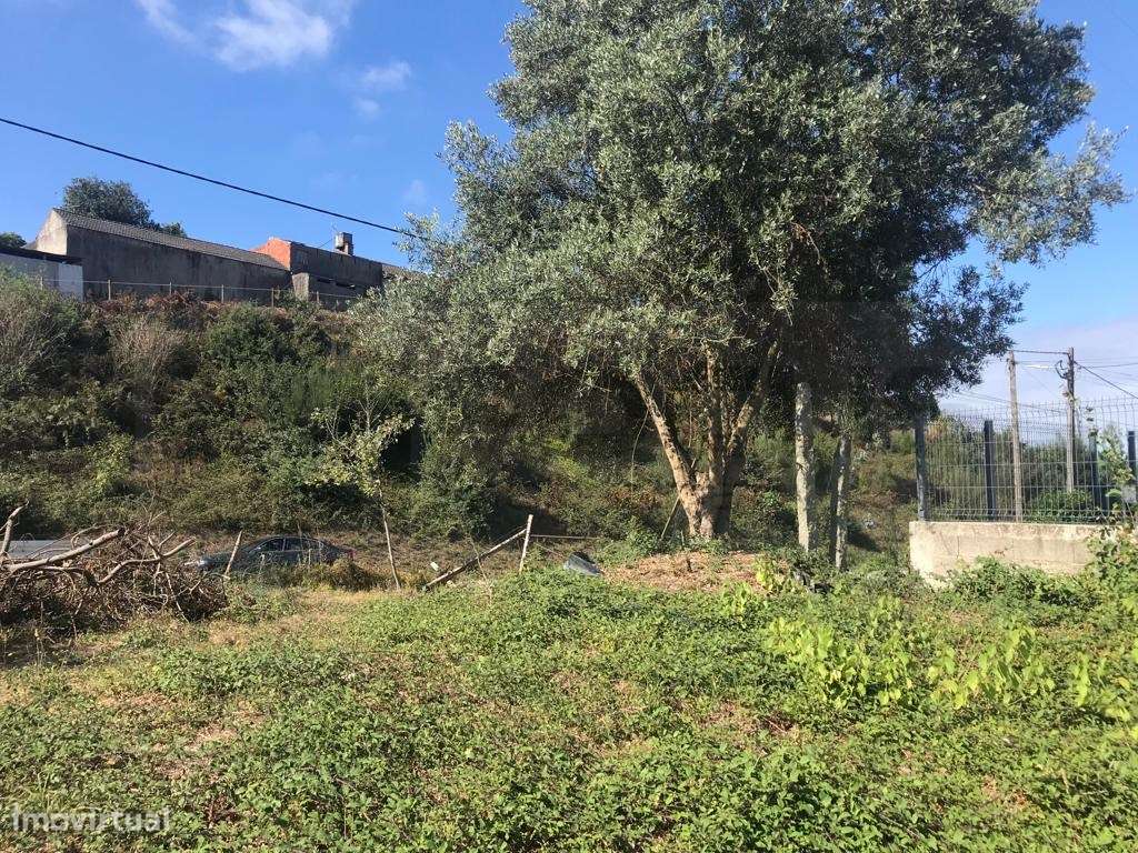 Terreno para construção em altura - Angeja - centro - Grande imagem: 4/7