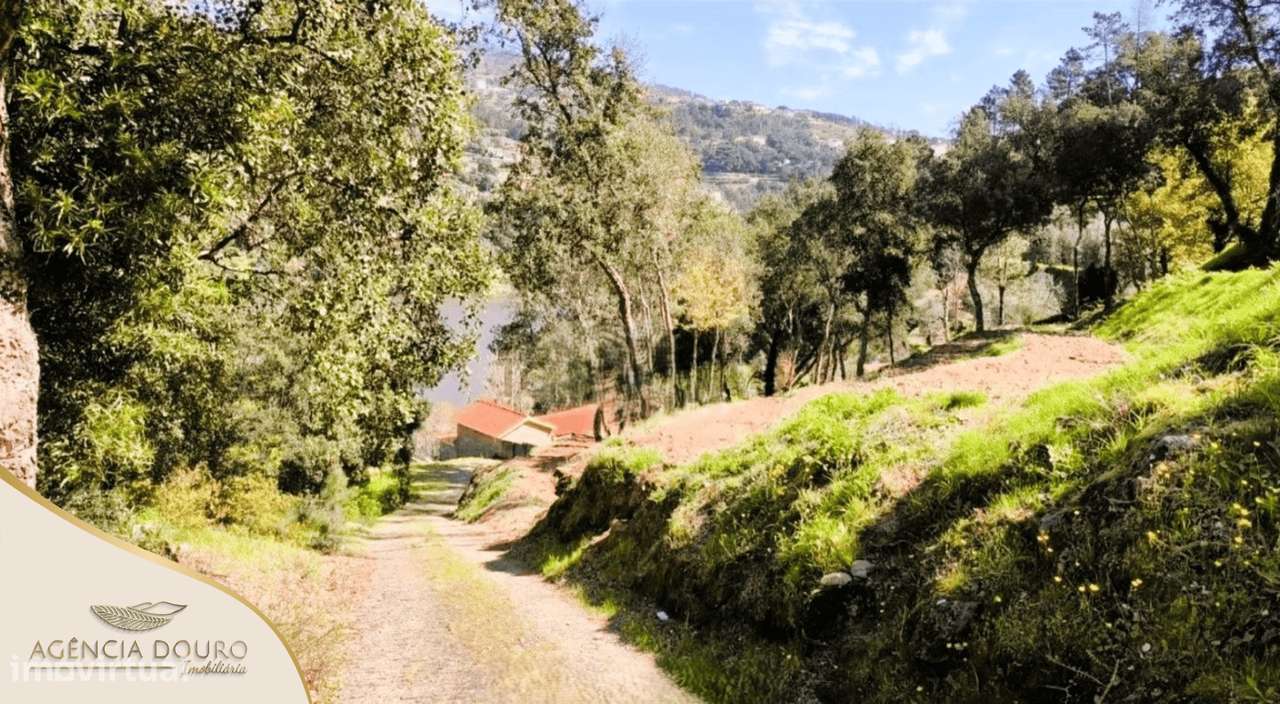 Terreno com 20.000m², frente para o rio Douro, proj. aprovado moradia - Grande imagem: 4/9