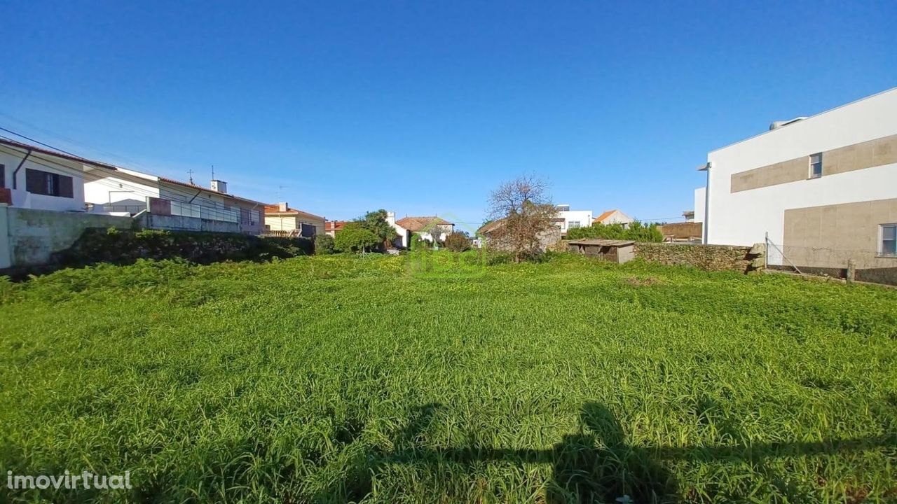 Terreno | Árvore | Vila do Conde