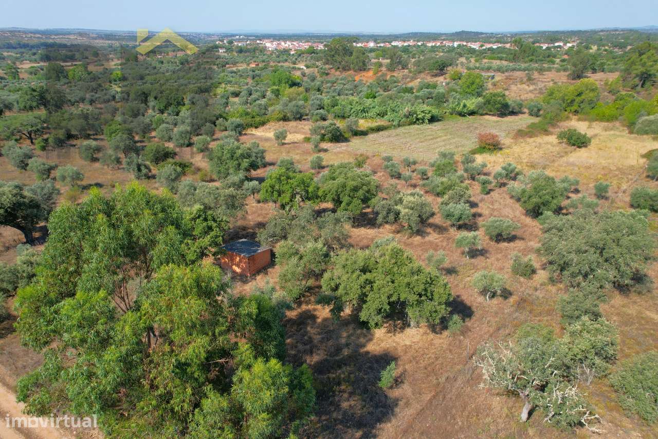 Terreno Rústico  Venda em Toulões,Idanha-a-Nova - Grande imagem: 2/18