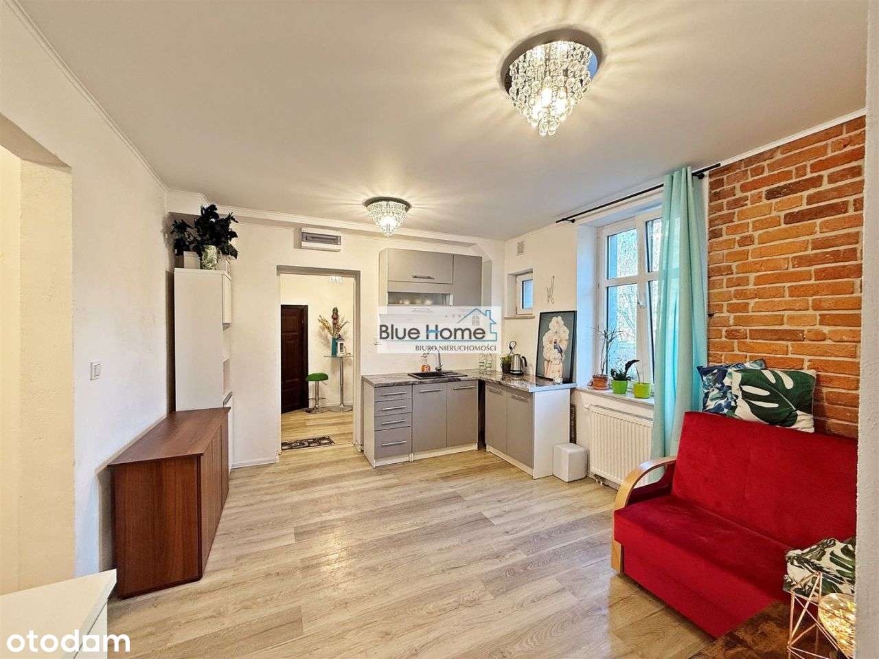 2/3 pokoje, wejście z przedpokoju do dużej piwnicy - Pełny obrazek: 2/19